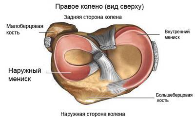 колено