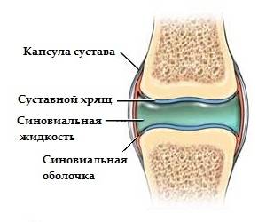 Симптомы и причины