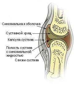 Препараты-хондропротекторы