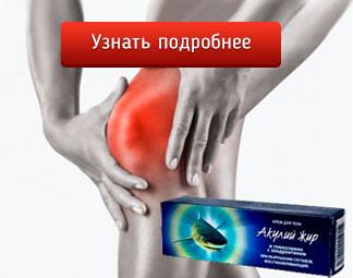 акулий жир для суставов