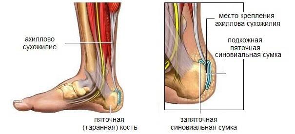 Околосуставные синовиальные сумки