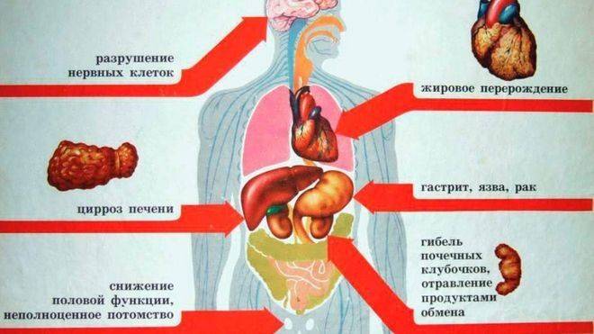 Как алкоголь поражает человека