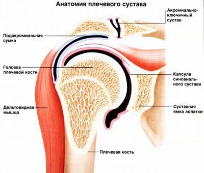 боль в плечевом суставе
