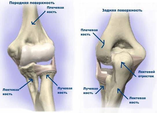 Локтевой сустав