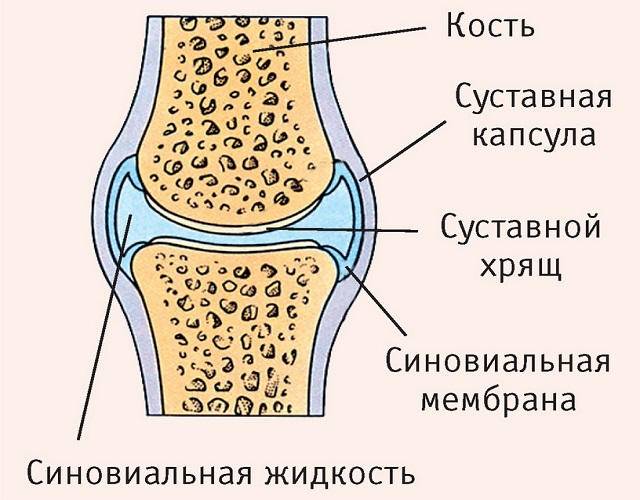 3720816_Systavi3 (640x500, 58Kb)
