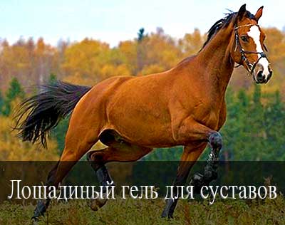 Лошадиный гель для суставов Мазь конская
