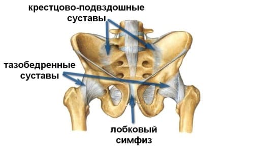 Причины развития болезни, симптомы Причины развития болезни, симптомы