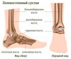 Костные структуры