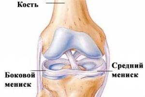 Что такое мениск