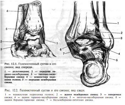 Травма голеностопа пневмония